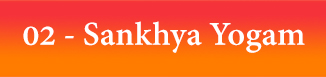 02. Sankhya Yogam